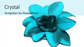  Presentation with flower - Colorful PPT theme enhanced with blue roses - artificial flower isolated on white backdrop and a  colored foreground