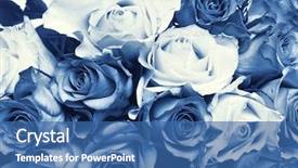  Presentation with reproduction - Theme featuring roses blue - cyano-type reproduction background and a ocean colored foreground