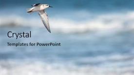  Presentation with blue waves - Colorful slide set enhanced with blue sea and waves background backdrop and a  colored foreground