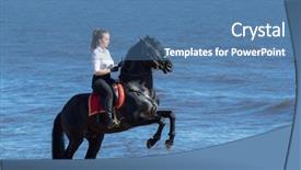  Presentation with stallion - Audience pleasing slides consisting of blue sea andalusian stallion backdrop and a teal colored foreground