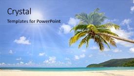  Presentation with palm oil seeds of tree - Colorful theme enhanced with blue sea summer nature view backdrop and a light blue colored foreground