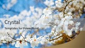  Presentation with botanical garden - PPT layouts featuring blue sky abstract seasonal background background and a light blue colored foreground