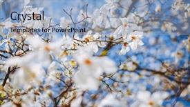  Presentation with botanical garden - PPT layouts with blue sky abstract seasonal background background and a light blue colored foreground