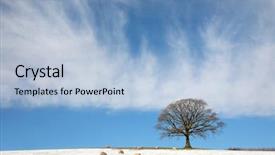 Presentation with oak tree - Amazing theme having a field in winter backdrop and a light blue colored foreground
