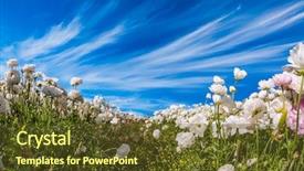  Presentation with pink sky - Amazing slide set having blue sky and light clouds backdrop and a tawny brown colored foreground