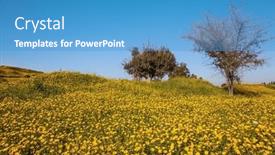  Presentation with sun desert - PPT layouts featuring blue-sky-and-light-clouds background and a  colored foreground