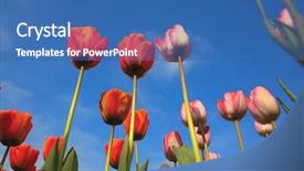 Presentation with blue sky - Beautiful theme featuring beer devon england uk english backdrop and a tawny brown colored foreground