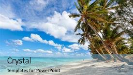  Presentation with palm beach - Colorful theme enhanced with blue sky at cook island backdrop and a light blue colored foreground