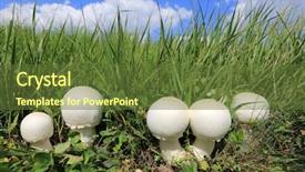  Presentation with mushroom cloud - Presentation theme featuring blue sky background with cloud background and a  colored foreground