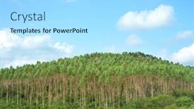  Presentation with blue sky - Cool new presentation with blue-sky-forest-landscape backdrop and a arctic colored foreground