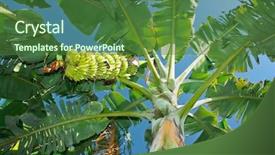  Presentation with blue green - Amazing slides having blue sky hampi india backdrop and a forest green colored foreground