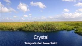  Presentation with wetlands - Amazing PPT theme having blue sky in florida everglades wetlands green plants horizon nature backdrop and a navy blue colored foreground