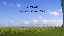  Presentation with wetlands - PPT theme featuring florida everglades wetlands green background and a light blue colored foreground