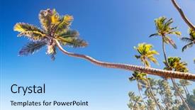  Presentation with dominican republic - Presentation theme having blue sky in punta cana background and a light blue colored foreground