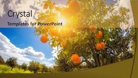  Presentation with italy food - Slide deck with blue sky mediterranean climate background and a yellow colored foreground