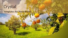  Presentation with italy food - Audience pleasing PPT theme consisting of blue sky mediterranean climate backdrop and a gold colored foreground