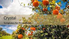  Presentation with italy food - Slide set featuring blue sky mediterranean climate background and a  colored foreground