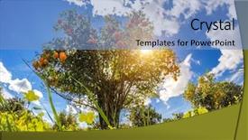  Presentation with italy food - Presentation theme consisting of blue sky mediterranean climate background and a  colored foreground