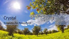  Presentation with italy food - Cool new slide deck with blue sky mediterranean climate backdrop and a  colored foreground