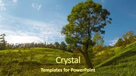  Presentation with sky blue and golden yellow - Presentation theme having blue sky on the backgroung background and a  colored foreground