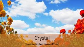  Presentation with red blue yellow - Cool new slides with blue sky south of israel backdrop and a gold colored foreground