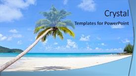  Presentation with nature sun trees - Amazing presentation theme having blue sky summer nature backdrop and a light blue colored foreground