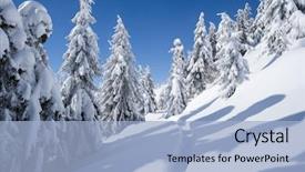  Presentation with winter evergreen forest - PPT theme with blue sky sunny frosty weather background and a light blue colored foreground