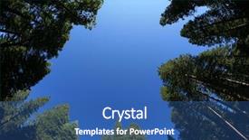  Presentation with redwood forest - PPT theme with blue sky through a forest background and a ocean colored foreground