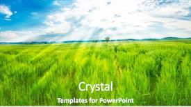  Presentation with shining - Colorful PPT theme enhanced with field of fresh young green wheat and a blue sky with a shining sun backdrop and a tawny brown colored foreground