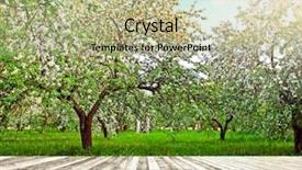  Presentation with dawn - Presentation theme featuring blue sky with first background and a mint green colored foreground