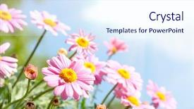  Presentation with pink sky - PPT theme with blue sky with flower background and a sky blue colored foreground