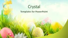  Presentation with spring nature grass - Audience pleasing presentation consisting of blue sky with sun invitation backdrop and a cream colored foreground