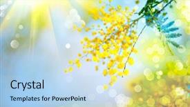  Presentation with flower border - Beautiful presentation theme featuring blue sky yellow flower border backdrop and a light blue colored foreground