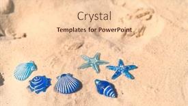  Presentation with fishes - Beautiful PPT theme featuring blue-star-fishes-in-sand backdrop and a lemonade colored foreground