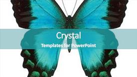 Presentation with butterfly - Amazing PPT layouts having blue swallowtail butterfly isolated backdrop and a teal colored foreground