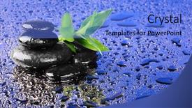  Presentation with water bamboo - Audience pleasing PPT layouts consisting of blue tree - stones and bamboo in water backdrop and a  colored foreground