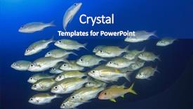  Presentation with biology - PPT theme having blue water striped large-eye background and a cobalt blue colored foreground