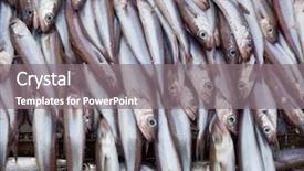  Presentation with factory - Cool new presentation design with blue whiting fish on deck backdrop and a gray colored foreground