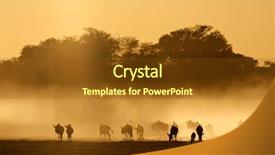  Presentation with dust - Beautiful slide deck featuring blue wildebeest connochaetes taurinus backdrop and a tawny brown colored foreground