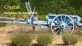  Presentation with blue - PPT theme featuring blue-wooden-cart-with-lavenders background and a  colored foreground