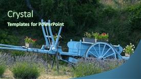  Presentation with blue - PPT theme featuring blue-wooden-cart-with-lavenders background and a  colored foreground