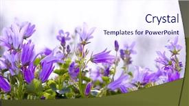  Presentation with organic garden store - Slide set enhanced with computer keyboard with two gesturing hands keys background and a tawny brown colored foreground