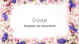  Presentation with apple flower - Theme with bluebell-and-apple-blossom-flower background and a white colored foreground