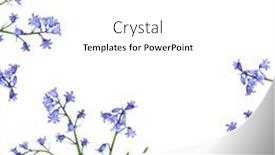  Presentation with flowers border - Presentation theme with bluebell flowers forming a border and set against a white background background and a white colored foreground