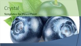  Presentation with blueberries - Amazing slides having blueberries and blueberries leaves macro backdrop and a mint green colored foreground