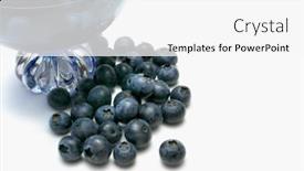  Presentation with blueberries - Cool new slide set with flavonoids - blueberries arranged at base backdrop and a white colored foreground