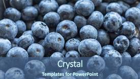  Presentation with blueberries - PPT layouts enhanced with blueberries concept of natural healty background and a ocean colored foreground