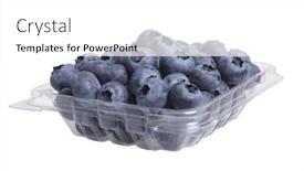  Presentation with plastic container - Beautiful slide deck featuring solid plain blue - blueberries in clear plastic container backdrop and a white colored foreground
