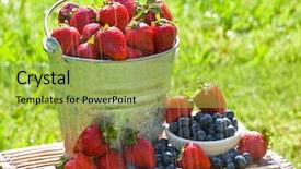  Presentation with rain water harvesting - Presentation theme enhanced with blueberries in the morning rain background and a  colored foreground