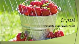  Presentation with rain water harvesting - Presentation featuring blueberries in the morning rain background and a  colored foreground